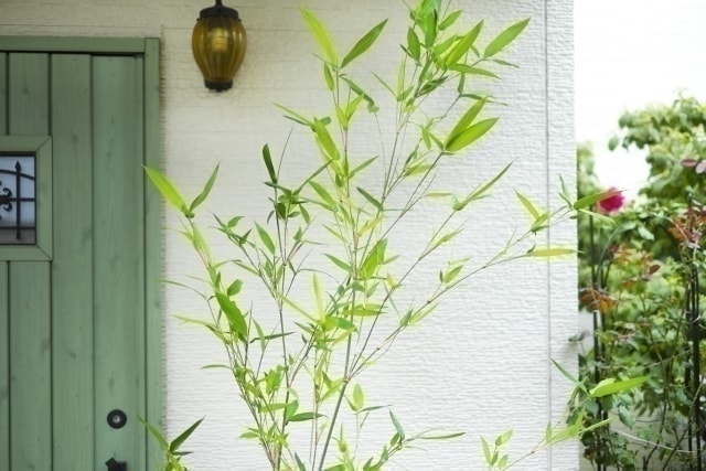 フジタニ玄関工事